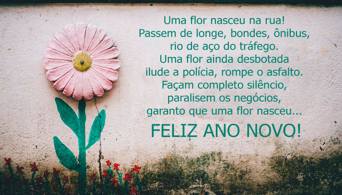 Feliz ano novo Uniflores