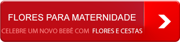Enviar flores maternidade